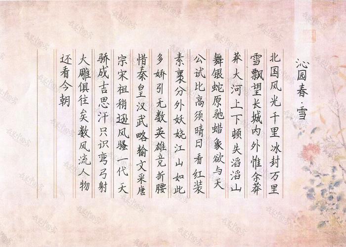 中年级-二等奖-王雅淇2.jpg